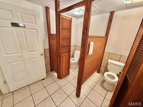 Tiny photo for 1859 madison 504, Fredericktown, MO 63645 (MLS # 26018813)