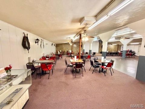 Tiny photo for 1859 madison 504, Fredericktown, MO 63645 (MLS # 26018813)