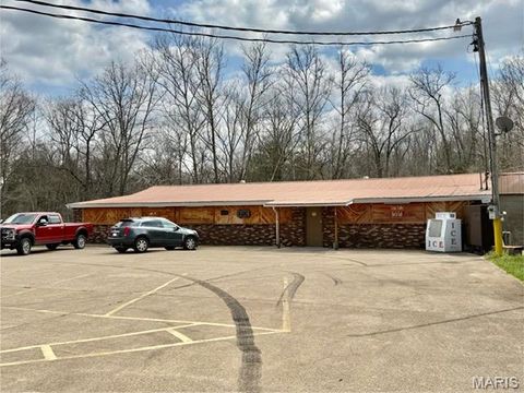 Tiny photo for 1859 madison 504, Fredericktown, MO 63645 (MLS # 26018813)