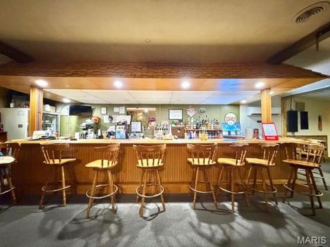 Tiny photo for 1859 madison 504, Fredericktown, MO 63645 (MLS # 26018813)