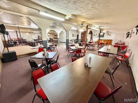 Tiny photo for 1859 madison 504, Fredericktown, MO 63645 (MLS # 26018813)