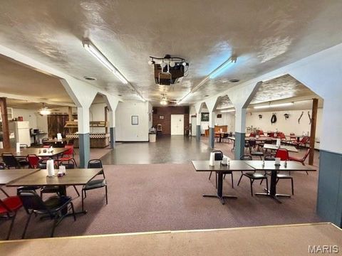 Tiny photo for 1859 madison 504, Fredericktown, MO 63645 (MLS # 26018813)