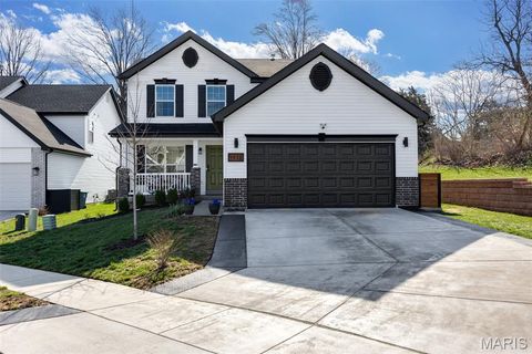 1928 Simba Circle St Louis MO 63125