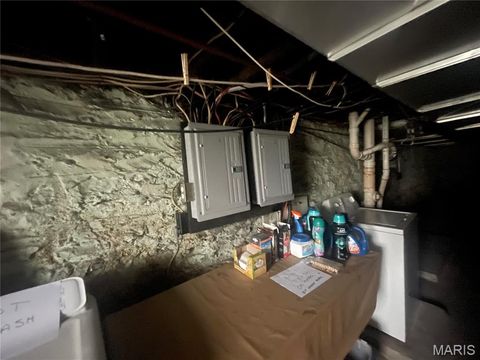 Tiny photo for 4216 Ellenwood Avenue, St Louis, MO 63116 (MLS # 25079527)