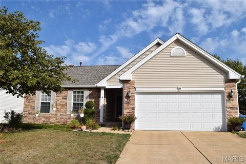 354 Birchwood Crossing Lane Maryland Heights MO 63043
