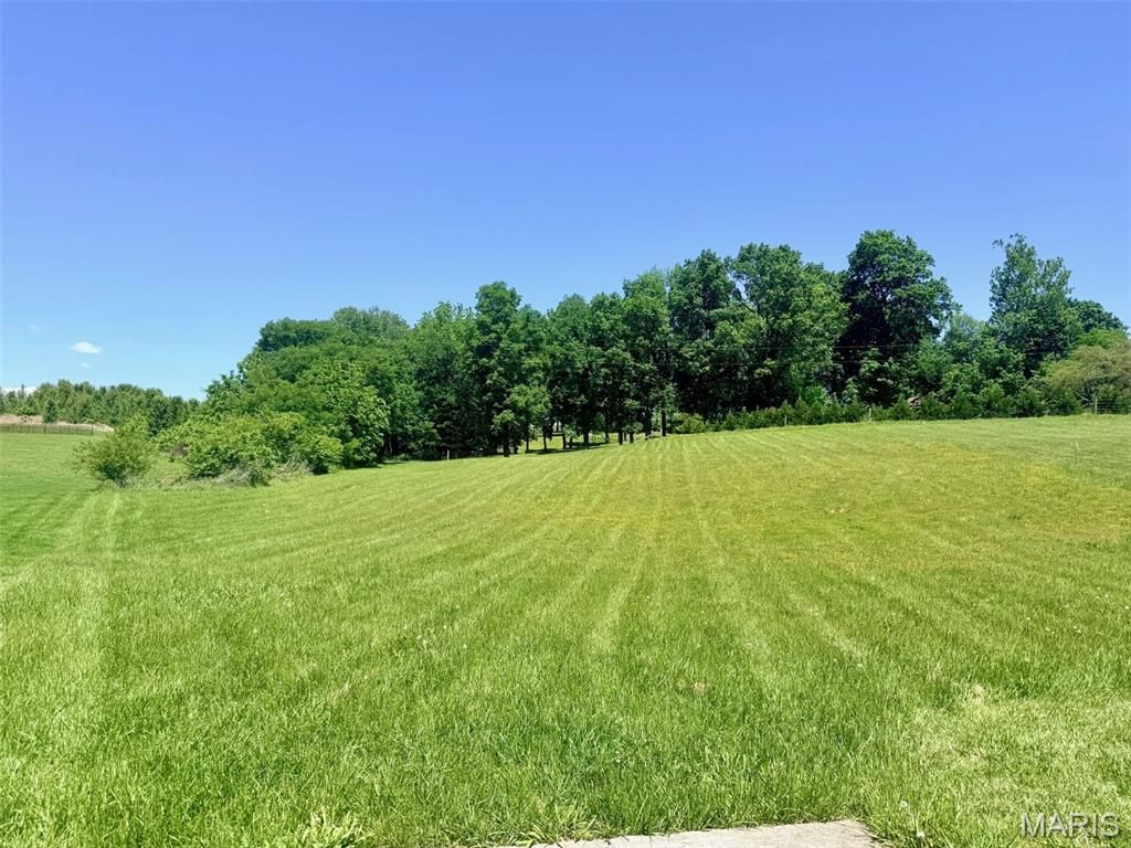 Photo of 3080 Clear Spring Place, Jackson, MO 63755 (MLS # 26029408)