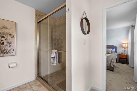 Tiny photo for 16409 Pavillion Hill Court, Wildwood, MO 63040 (MLS # 25081419)