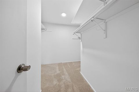 Tiny photo for 10358 Chimney Rock Drive #20, Creve Coeur, MO 63146 (MLS # 25078063)