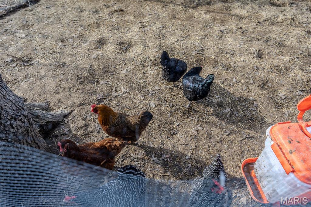 Northern Heights - Residential