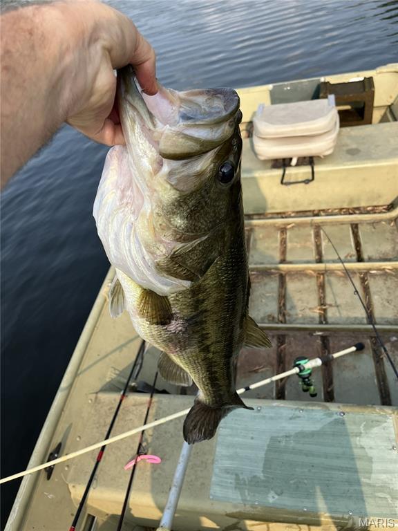 Coles Lake - Residential