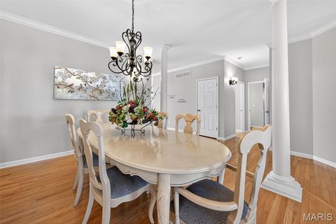 Tiny photo for 253 Meadows Of Wildwood Boulevard, Wildwood, MO 63040 (MLS # 26007879)