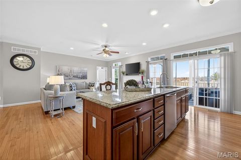 Tiny photo for 253 Meadows Of Wildwood Boulevard, Wildwood, MO 63040 (MLS # 26007879)