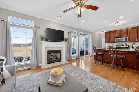 Tiny photo for 253 Meadows Of Wildwood Boulevard, Wildwood, MO 63040 (MLS # 26007879)