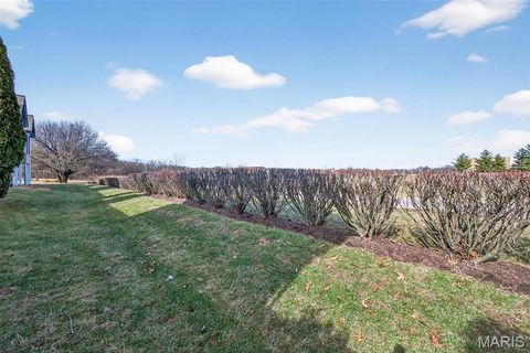 Tiny photo for 253 Meadows Of Wildwood Boulevard, Wildwood, MO 63040 (MLS # 26007879)