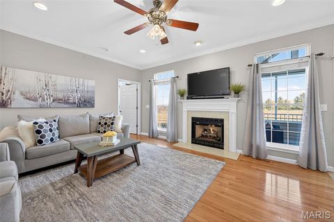 Tiny photo for 253 Meadows Of Wildwood Boulevard, Wildwood, MO 63040 (MLS # 26007879)