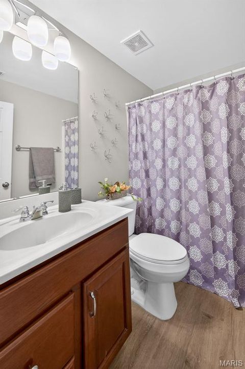 Tiny photo for 253 Meadows Of Wildwood Boulevard, Wildwood, MO 63040 (MLS # 26007879)