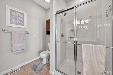 Tiny photo for 253 Meadows Of Wildwood Boulevard, Wildwood, MO 63040 (MLS # 26007879)