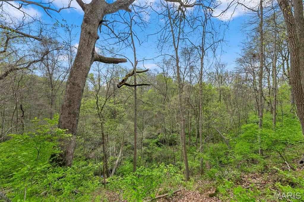 Carrico Woods - Residential