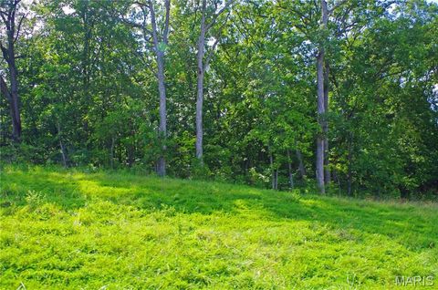 Tiny photo for 0 Kitson Rd, Winfield, MO 63389 (MLS # 24048230)