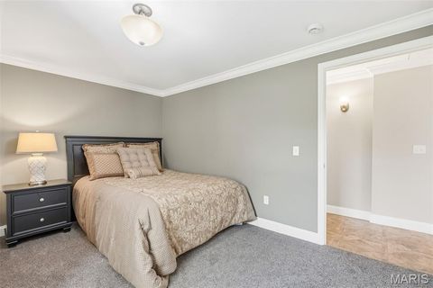 Tiny photo for 216 Deer View Drive, Troy, MO 63379 (MLS # 26022167)