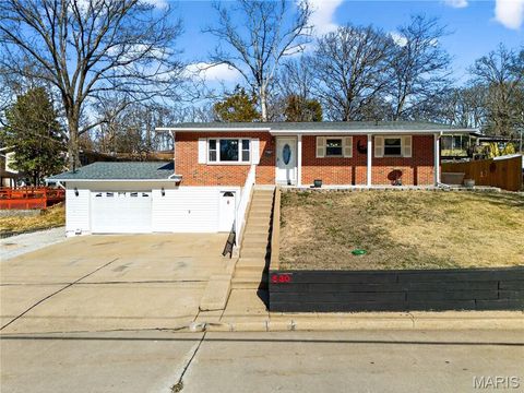 530 Cedar Lane Festus MO 63028