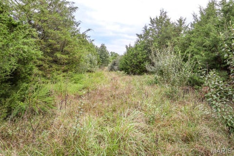 Tiny photo for 000-3 Sunny Side Lane, New London, MO 63459 (MLS # 26062697)