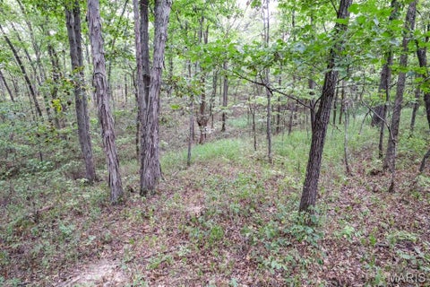 Tiny photo for 000-3 Sunny Side Lane, New London, MO 63459 (MLS # 26062697)