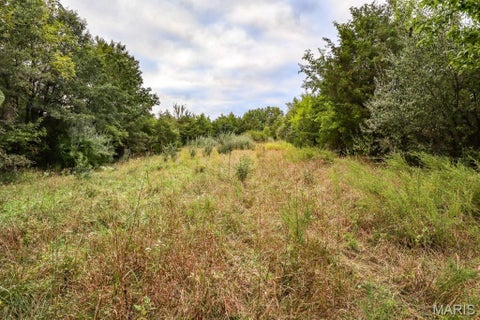 Tiny photo for 000-3 Sunny Side Lane, New London, MO 63459 (MLS # 26062697)