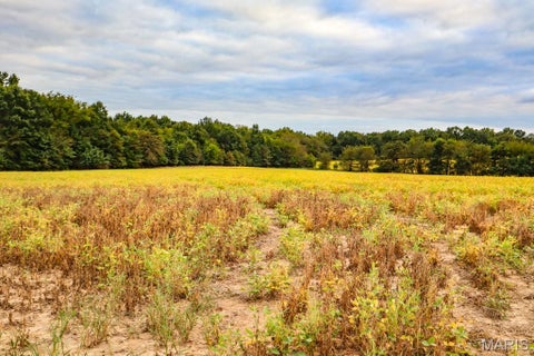 Tiny photo for 000-3 Sunny Side Lane, New London, MO 63459 (MLS # 26062697)