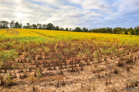 Tiny photo for 000-3 Sunny Side Lane, New London, MO 63459 (MLS # 26062697)