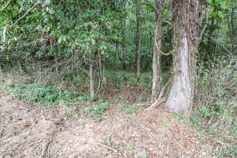 Tiny photo for 000-3 Sunny Side Lane, New London, MO 63459 (MLS # 26062697)