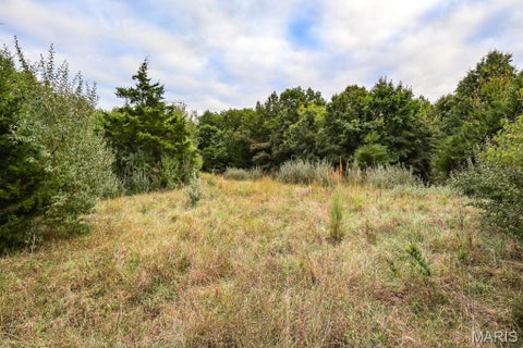 Tiny photo for 000-3 Sunny Side Lane, New London, MO 63459 (MLS # 26062697)