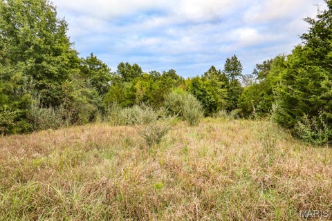 Tiny photo for 000-3 Sunny Side Lane, New London, MO 63459 (MLS # 26062697)