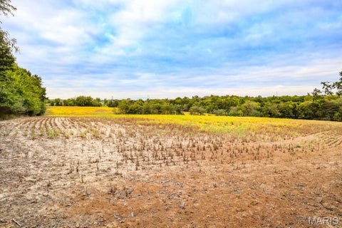 Tiny photo for 000-3 Sunny Side Lane, New London, MO 63459 (MLS # 26062697)