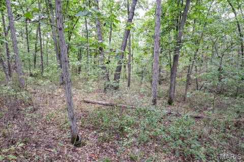 Tiny photo for 000-3 Sunny Side Lane, New London, MO 63459 (MLS # 26062697)