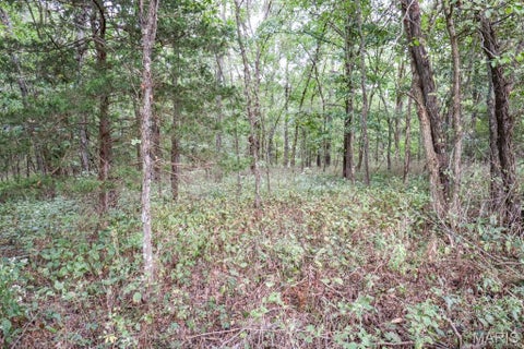 Tiny photo for 000-3 Sunny Side Lane, New London, MO 63459 (MLS # 26062697)