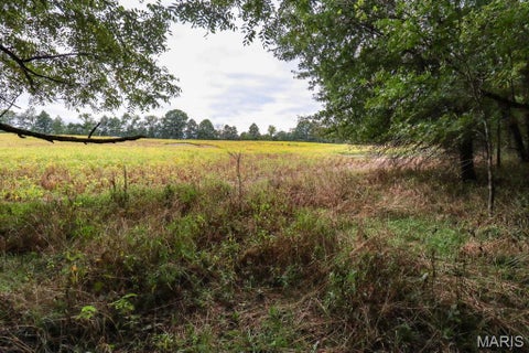 Tiny photo for 000-3 Sunny Side Lane, New London, MO 63459 (MLS # 26062697)