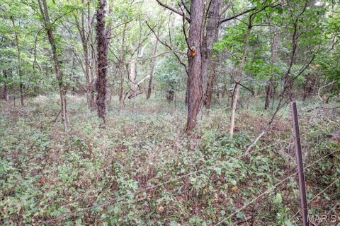 Tiny photo for 000-3 Sunny Side Lane, New London, MO 63459 (MLS # 26062697)