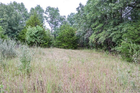 Tiny photo for 000-3 Sunny Side Lane, New London, MO 63459 (MLS # 26062697)
