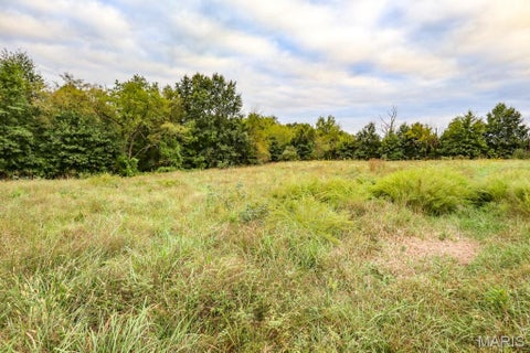 Tiny photo for 000-3 Sunny Side Lane, New London, MO 63459 (MLS # 26062697)