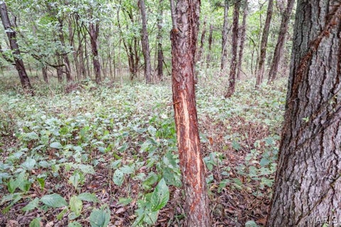 Tiny photo for 000-3 Sunny Side Lane, New London, MO 63459 (MLS # 26062697)
