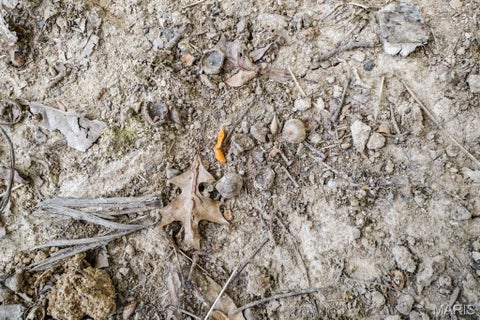 Tiny photo for 000-3 Sunny Side Lane, New London, MO 63459 (MLS # 26062697)