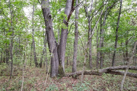 Tiny photo for 000-3 Sunny Side Lane, New London, MO 63459 (MLS # 26062697)