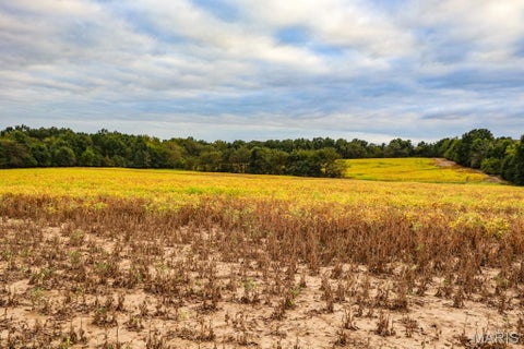 Tiny photo for 000-3 Sunny Side Lane, New London, MO 63459 (MLS # 26062697)