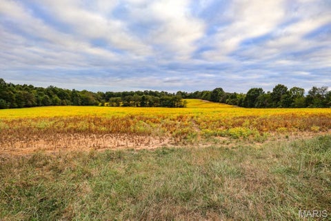 Tiny photo for 000-3 Sunny Side Lane, New London, MO 63459 (MLS # 26062697)