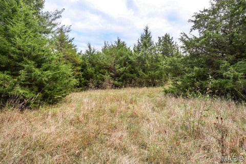 Tiny photo for 000-3 Sunny Side Lane, New London, MO 63459 (MLS # 26062697)