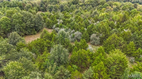 Tiny photo for 000-3 Sunny Side Lane, New London, MO 63459 (MLS # 26062697)
