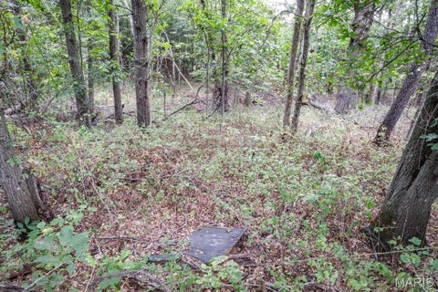 Tiny photo for 000-3 Sunny Side Lane, New London, MO 63459 (MLS # 26062697)