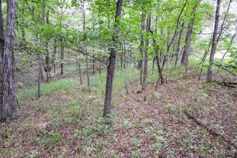Tiny photo for 000-3 Sunny Side Lane, New London, MO 63459 (MLS # 26062697)