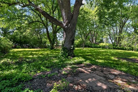 Tiny photo for 9817 Balboa Drive, St Louis, MO 63136 (MLS # 26027659)